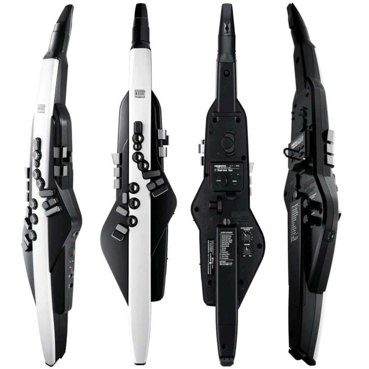 Roland Aerophone AE-20, Muziek en Instrumenten, Blaasinstrumenten | Overige, Zo goed als nieuw, Overige soorten, Met koffer of draagtas