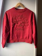 Sweater sting, The Sting, Ophalen of Verzenden, Zo goed als nieuw, Maat 34 (XS) of kleiner