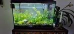 Mooi aquarium met planten (zonder vissen) merk Juwel, Dieren en Toebehoren, Vissen | Aquaria en Toebehoren, Zo goed als nieuw