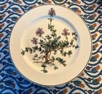 Compleet Villeroy en Boch Botanica servies, Ophalen, Gebruikt, Wedgwood, Porselein