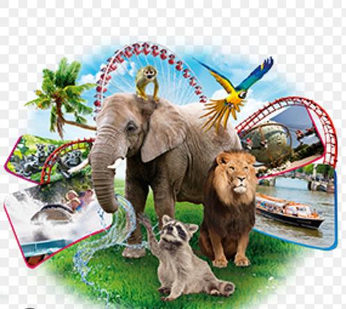 4x uitje naar keuze van de Postcodeloterij, Tickets en Kaartjes, Recreatie | Pretparken en Attractieparken, Drie personen of meer