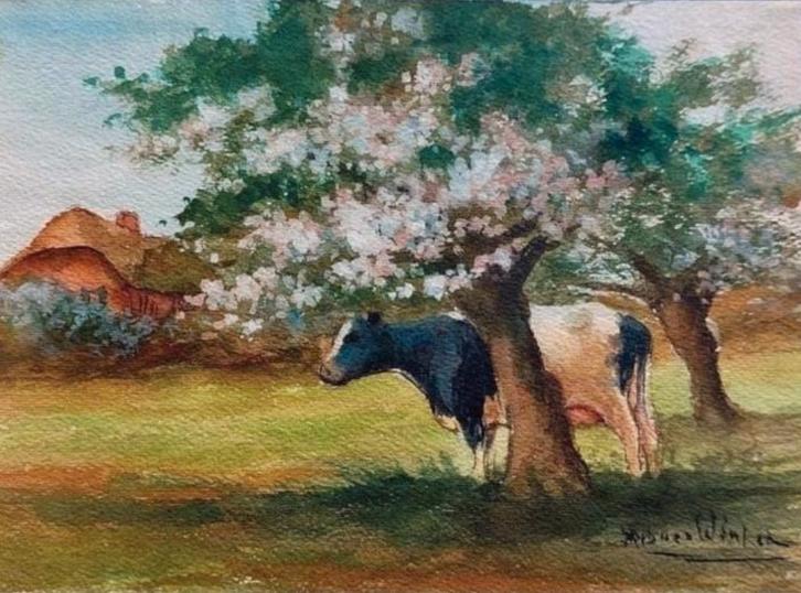 Aquarel ... 18 cm h x 13 cm b.... Hub van Winkel ..., Antiek en Kunst, Kunst | Schilderijen | Klassiek, Ophalen of Verzenden