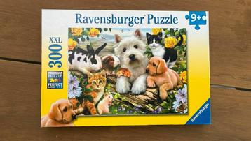 Ravensburger puzzel 300xl stukjes huisdieren beschikbaar voor biedingen