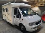 Complete Fiat Camper – Instapklaar, Caravans en Kamperen, Campers, Chemisch toilet, Standaard zit, Fiat, Achteruitrijcamera