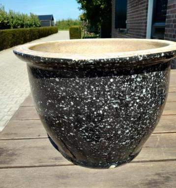 Zwarte Plantenpot met Spikkels beschikbaar voor biedingen