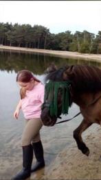 Verzorg- of bijrijpony gezocht in de omgeving van Veghel, Ophalen of Verzenden, Nieuw