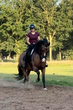 Instructie aangeboden, Ophalen