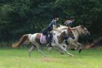 Veelzijdige lease pony's beschikbaar, Ook lessen en ritten, Paardrijles of Ponykampen