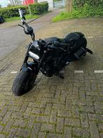 Harley davidson sportster 1250 S bj 2022, Naked bike, Particulier, 2 cilinders, 1250 cc