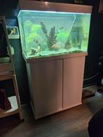 Ciano emotions pro 80 aquarium compleet, Ophalen, Zo goed als nieuw, Leeg aquarium
