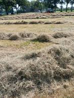 Hooi pakjes, Dieren en Toebehoren, Ophalen, Vee