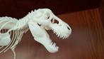 Prachtig Trex skelet 3D geprint. Topkwaliteit!, Verzamelen, Ophalen of Verzenden, Nieuw, Overige soorten, Beeldje of Figuurtje