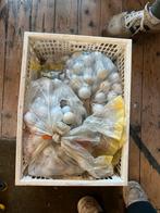 Circa 300 gebruikte golfballen - diverse merken, Sport en Fitness, Golf, Ophalen, Gebruikt, Bal(len), Overige merken