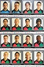 17 spelerskaarten NEC Nijmegen - seizoen 2002-2003, Verzamelen, Sportartikelen en Voetbal, Ophalen of Verzenden, Gebruikt, Feyenoord
