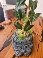 Druppelplant fontein voor reptielen