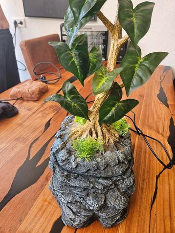 Druppelplant fontein voor reptielen beschikbaar voor biedingen