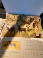 Rien poortvliet oude kalender, Ophalen of Verzenden, Maandkalender