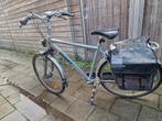 Giant Twist Go Single 36v E-bike, Ophalen, Gebruikt, Giant, 51 tot 55 cm