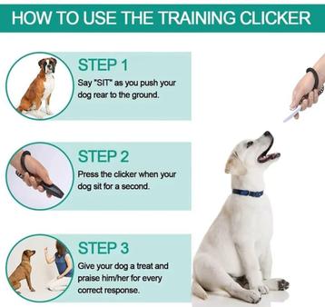 trainingsfluitje voor honden - de laatste voor € 5,00  nieuw beschikbaar voor biedingen