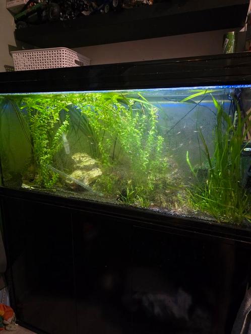Aquatlantis fusion 120 aquarium, Dieren en Toebehoren, Vissen | Aquaria en Toebehoren, Zo goed als nieuw, Leeg aquarium, Ophalen of Verzenden