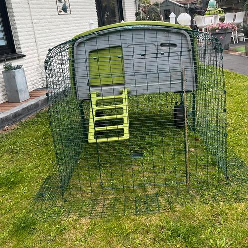 Omlet eglu, Dieren en Toebehoren, Pluimvee | Toebehoren, Gebruikt, Kippenhok of Kippenren, Ophalen