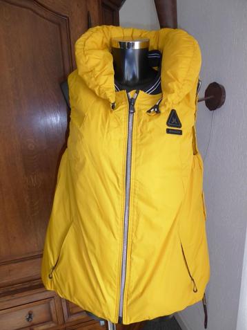 Nieuw met kaartje Bodywarmer merk Gaastra in maat XXL beschikbaar voor biedingen