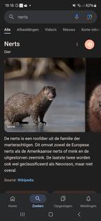 Nerts, Ophalen of Verzenden, Schedel