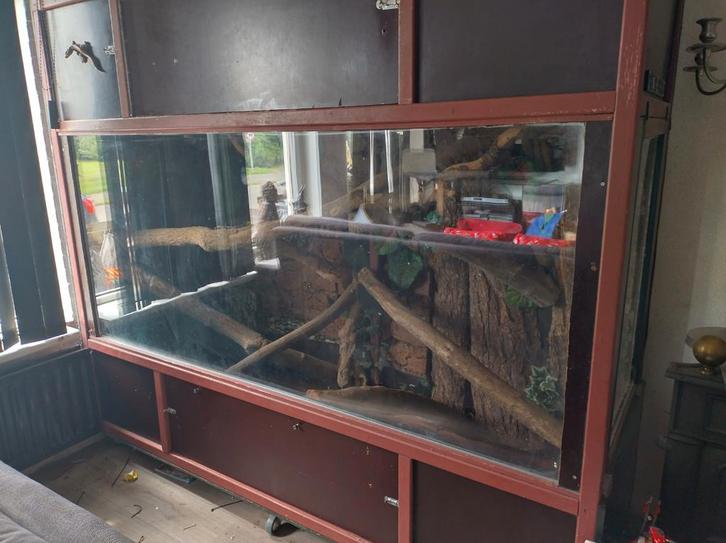 Zelf gemaakte terrarium compleet etc.etc.., Dieren en Toebehoren, Reptielen en Amfibieën | Toebehoren, Gebruikt, Terrarium of Paludarium