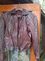 Leren Jas Bordeaux Rood Small 36/38, Ophalen of Verzenden
