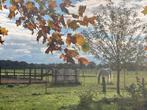 Plek op een fijn en kleinschalig pensionstal beschikbaar., Dieren en Toebehoren, Stalling en Weidegang, Weidegang, 1 paard of pony