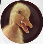 A.M.G. Schmidt - Het lelijke Eendje, Gebruikt, 7 inch, Single, Ophalen of Verzenden