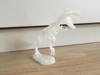 Glow in the dark Dino skelet, Ophalen of Verzenden, Gebruikt