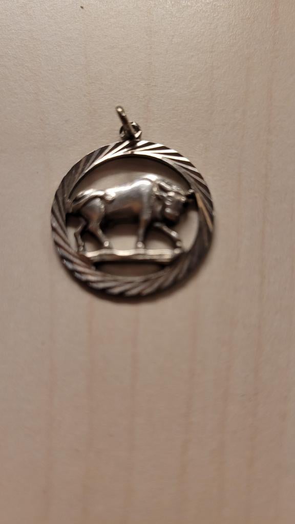 Zilveren ketting hanger stier sterrenbeeld, Ophalen of Verzenden, Zo goed als nieuw, Zilver, Zilver