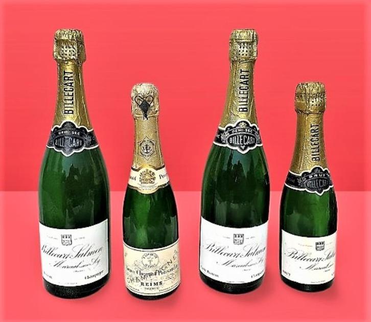 Vier lege, nep en verzegelde 🍾🍾🍾🍾 champagneflessen, Verzamelen, Wijnen, Zo goed als nieuw, Overige typen, Frankrijk, Ophalen of Verzenden