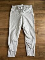 Epplejeck wedstrijdbroek, Dieren en Toebehoren, Ophalen of Verzenden, Gebruikt, Dames, Onderkleding