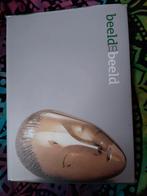 Beeld in Beeld boek, Ophalen of Verzenden, Zo goed als nieuw, Schilder- en Tekenkunst