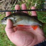 Deel 1) 3 sets van elk 2 Ultra Light mini Tandem spinnertjes, Watersport en Boten, Hengelsport | Roofvissen, Ophalen of Verzenden