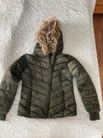 Damesjas groen, Coolcat maat S, Kleding | Dames, Jassen | Winter, Groen, Ophalen of Verzenden, Zo goed als nieuw, Coolcat