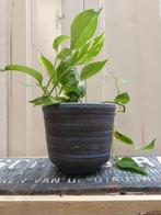 Vintage banden bloempot blauw, Gebruikt, -, -, Rond