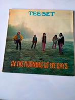Vinyl lp Tee-Set   In the morning of my days, 1960 tot 1980, Gebruikt, Ophalen of Verzenden, 12 inch