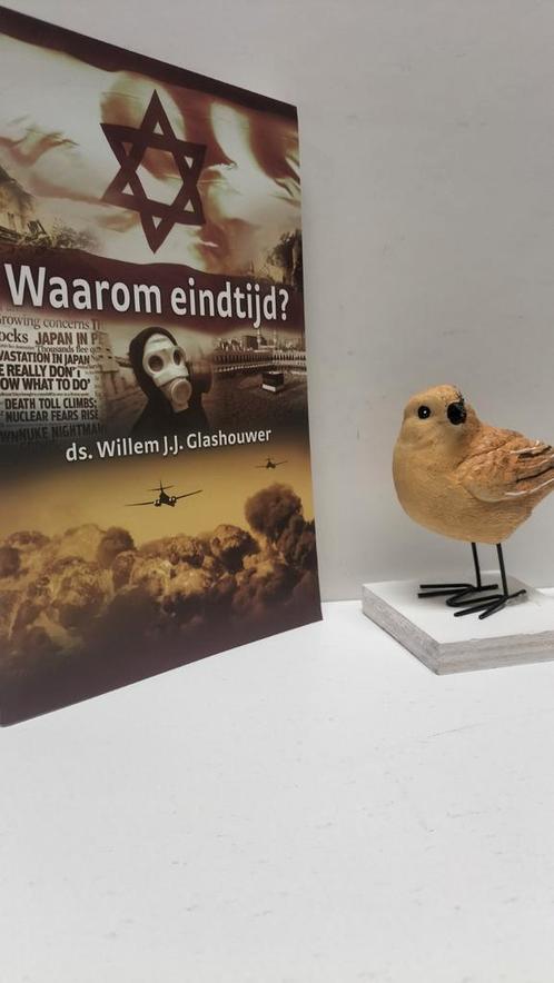 Glashouwer, Ds. Willem J.J.; Waarom eindtijd?, Boeken, Godsdienst en Theologie, Gelezen, Christendom | Protestants, Ophalen of Verzenden