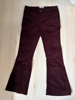 Ajc velours broek maat 34 dames bordeau rood, Kleding | Dames, Broeken en Pantalons, Ophalen of Verzenden, Gedragen, Maat 34 (XS) of kleiner