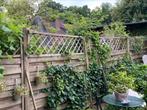 GEZOCHT: houten schutting met trellis bovenkant, Tuin en Terras, Ophalen