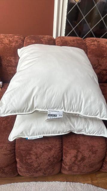2x nieuw hoofdkussen ikea skogsfräken beschikbaar voor biedingen