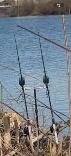 Fox rx+ set 2+1 tekoop, Watersport en Boten, Ophalen, Zo goed als nieuw, Overige typen