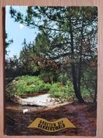 Ansichtkaart Groeten uit Dekkerswald 4383, Verzamelen, Ophalen of Verzenden