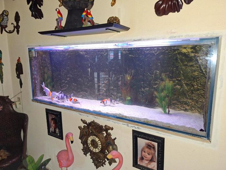 Aquarium incl. Toebehoren, Dieren en Toebehoren, Vissen | Aquaria en Toebehoren, Gebruikt, Leeg aquarium, Ophalen