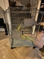 Knaagdieren kooi, Ophalen, Gebruikt