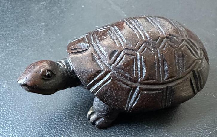 Ironwood Netsuke van een schildpad Late Meijiperiode Japan, Antiek en Kunst, Kunst | Niet-Westerse kunst, Ophalen of Verzenden