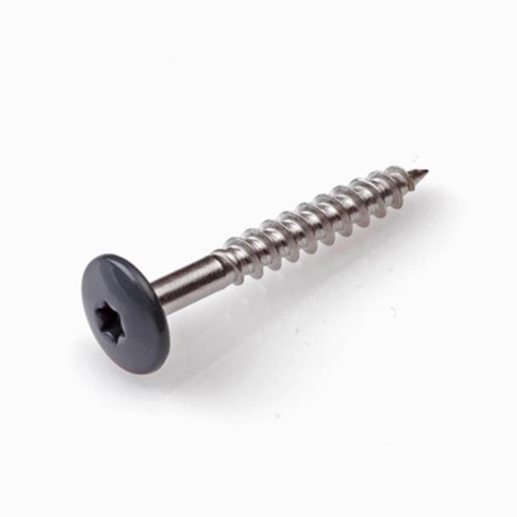RVS TRESPA SCHROEVEN 38 EN 25 MM LG 30 EURO/100 STUKS, Doe-het-zelf en Verbouw, Overige Doe-het-zelf en Verbouw, Nieuw, Ophalen